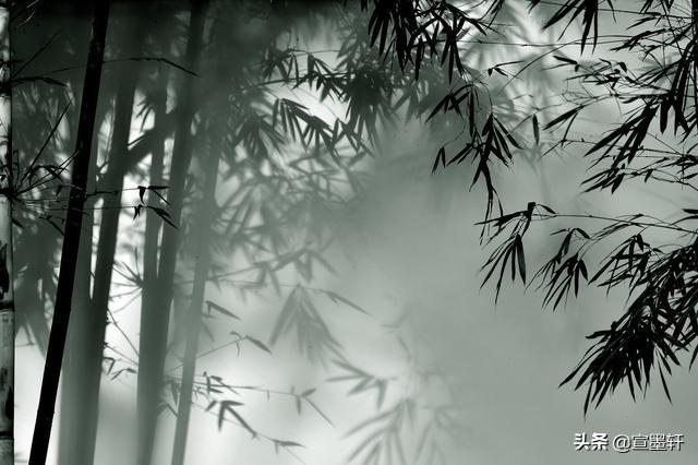 斑竹初成三妃庙两只猫的二重奏:关于描写竹子的诗句与成语有哪些？