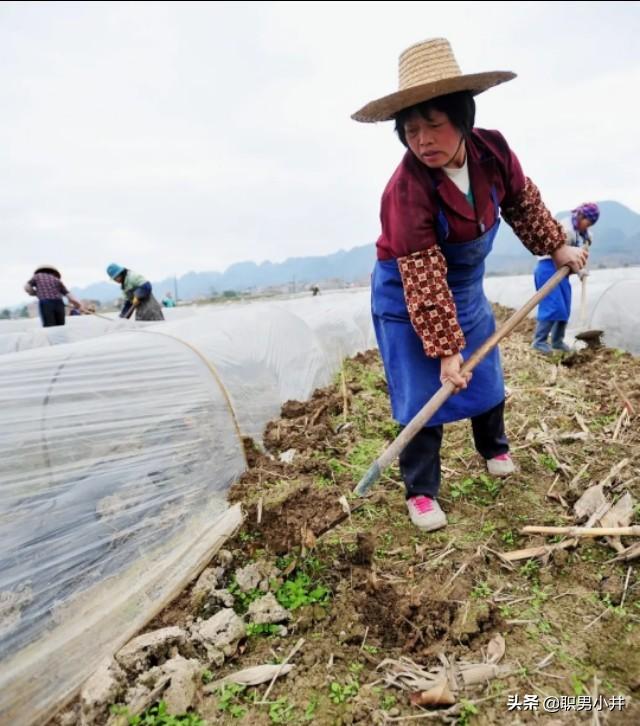 乡村留守妇女与狗小说全集:越来越多的农民离乡打工，留守妇女问题该如何解决？