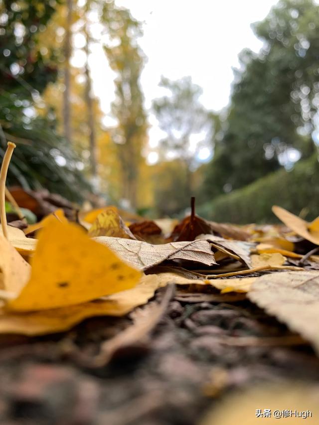 天秤男喜欢哪种类型的女生？