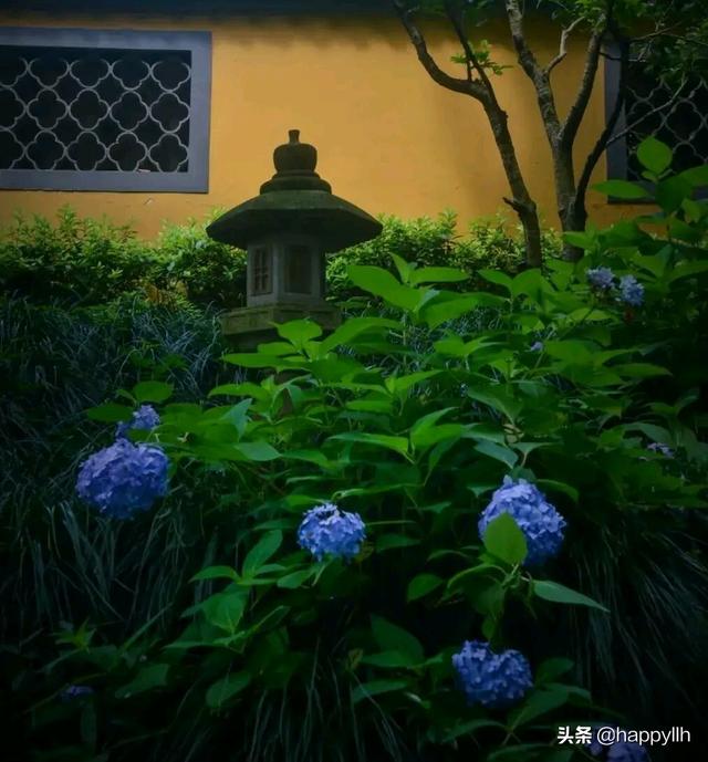 一个人怎么打发时间？