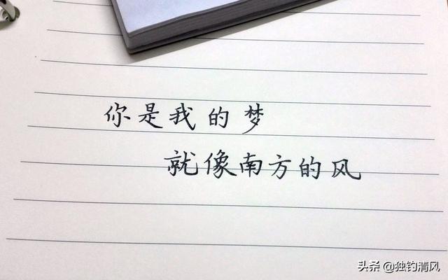 文案朋友圈温柔:有哪些温柔、干净、可爱的句子？(干净温柔的神仙句子)