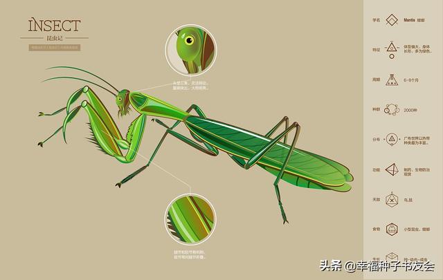 头条问答 法布尔的 昆虫记 是具有什么意义的巨著 10个回答
