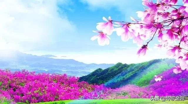 你认为最美好的一个成语是什么？