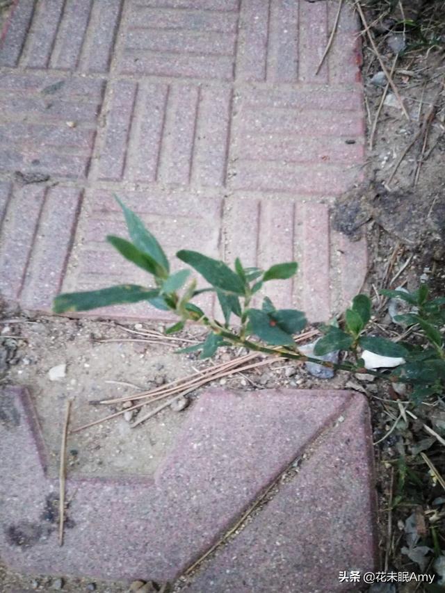 破镜重圆情感挽回怎能样:破镜重圆是好是