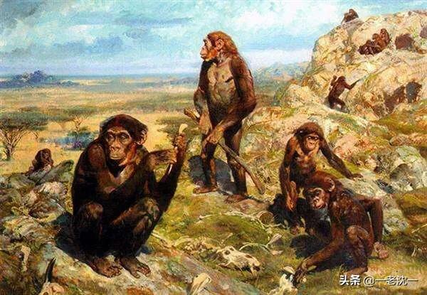 跗猴和类人猿:人类和现代类人猿的根本区别是直立行走，还是使用工具？