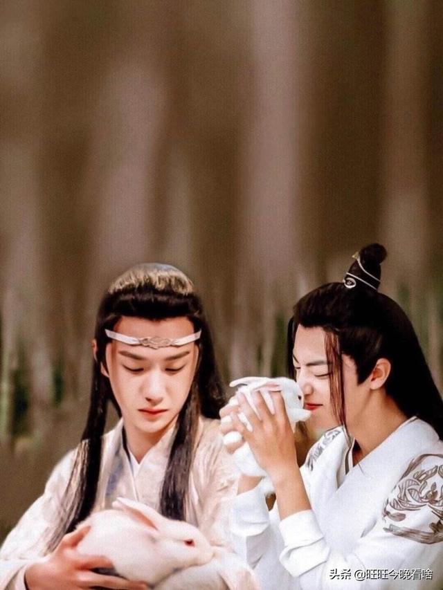如何评价电视剧《陈情令》中肖战和王一博的演技？