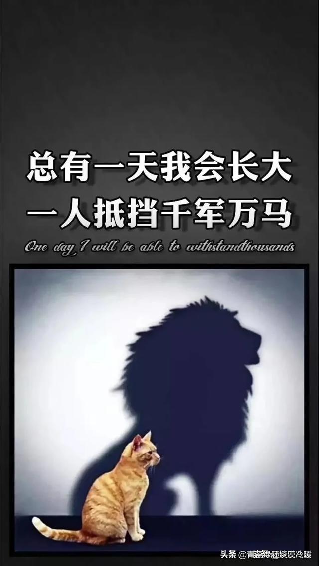 古代都有哪些描写乡愁的诗？