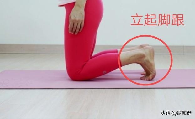 瑜伽狗:瑜伽中的骆驼式头部往后仰会不会使脸部变形？ 瑜伽狗式动作图片