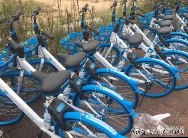 你们当地的共享单车是怎么收费及使用的呀？
