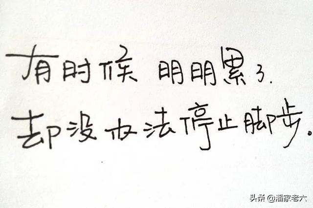 我做女犬的开心日子5:82年的狗，你们过得累不累？