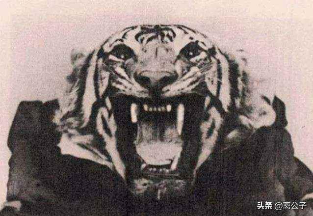 历史上都有哪些著名的老虎吃人事件？
