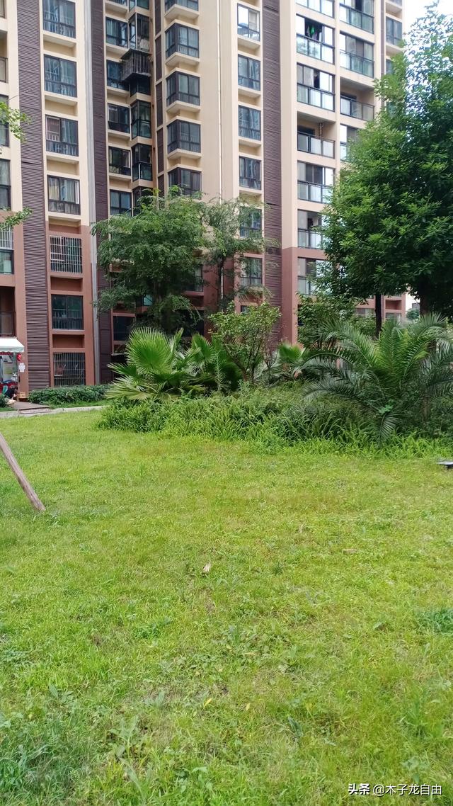 蔡卓宜已婚:知道你已婚还和你密切来往的异性是什么心态？