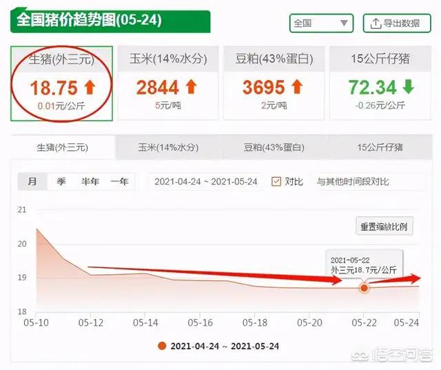 猪价跌得那么惨,养猪还有钱赚吗？