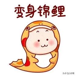 锦鲤鱼图片:锦鲤鱼图片卡通 “锦鲤”的意思有哪些？你是如何看待自带“锦鲤”属性的人的？