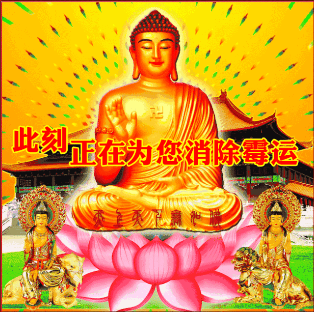 640_635gif 动态图 动图