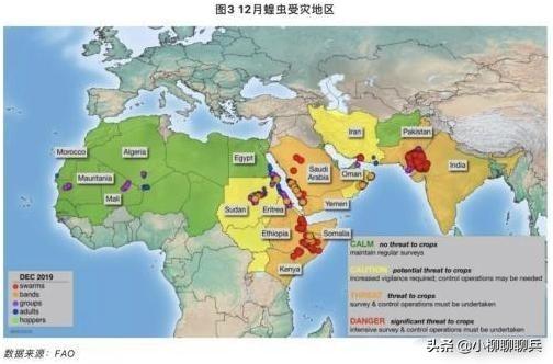 蝗虫在印度意外被灭，印度的蝗虫灾害会蔓延到中国吗为什么