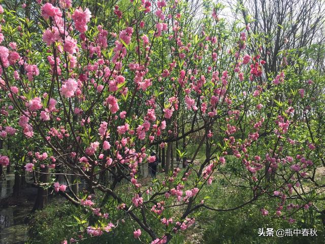 为什么现在人情淡薄,好朋友隔一段时间不联系,关系就淡了,兄弟姐妹也如此？