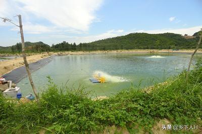 养殖日本对虾:最新技术养殖日本对虾 工厂化养殖南美白对虾，需要什么技术？