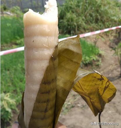 非洲人一般都吃什么呢？插图95