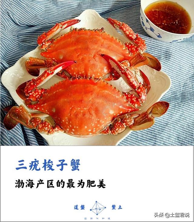 龙趸王:中国四个海哪个海里的海鲜好吃，为什么