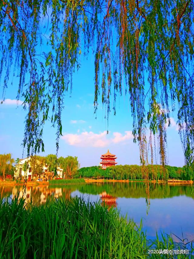 我决定简单地生活:人生太累，如何活得轻松？