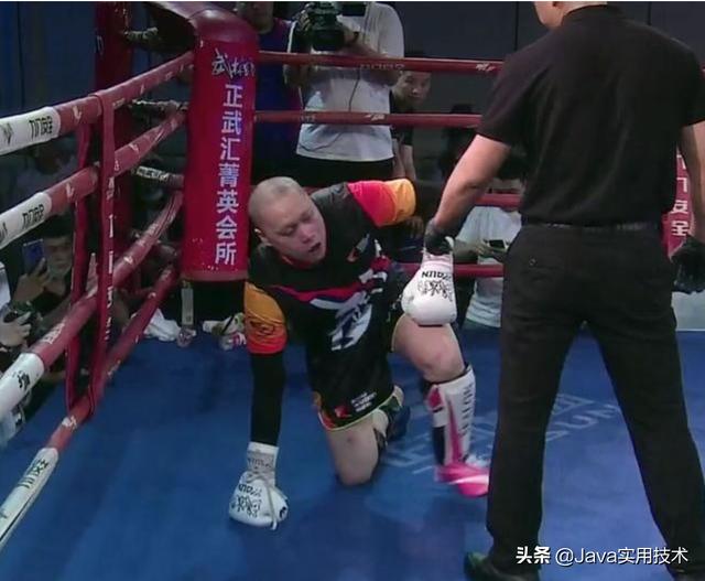 深圳狗狗网红:网红狗狗可乐 网红刘二狗五月一要挑战武僧一龙，你觉得谁能赢？