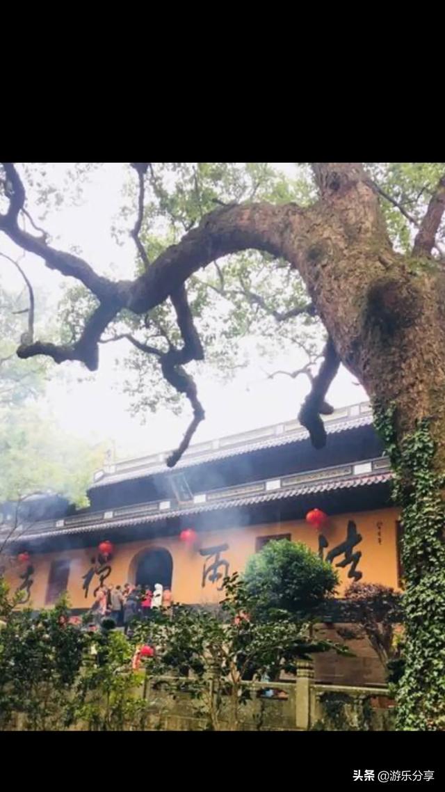 洞头跨海大桥灵异事件:石家庄自由港的房子怎么样？