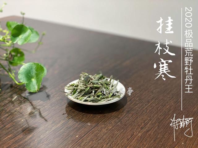 白茶属于什么茶类,白茶与生潽的区别有哪些？