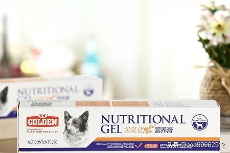 博美犬不能吃什么东西:博美吃什么可以补充营养？可以吃营养膏吗？ 博美犬喜欢吃什么东西