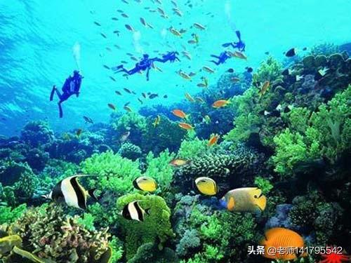 春节出游南国的有吗？大家有哪些路线推荐一下？