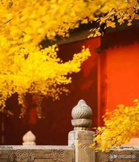 黄雀记:有人说，中国的文学已经死了，这是真的吗？
