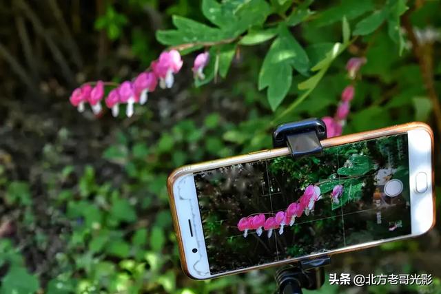 侯昌明曾雅兰:印度为什么堪称“世界人种博物馆”