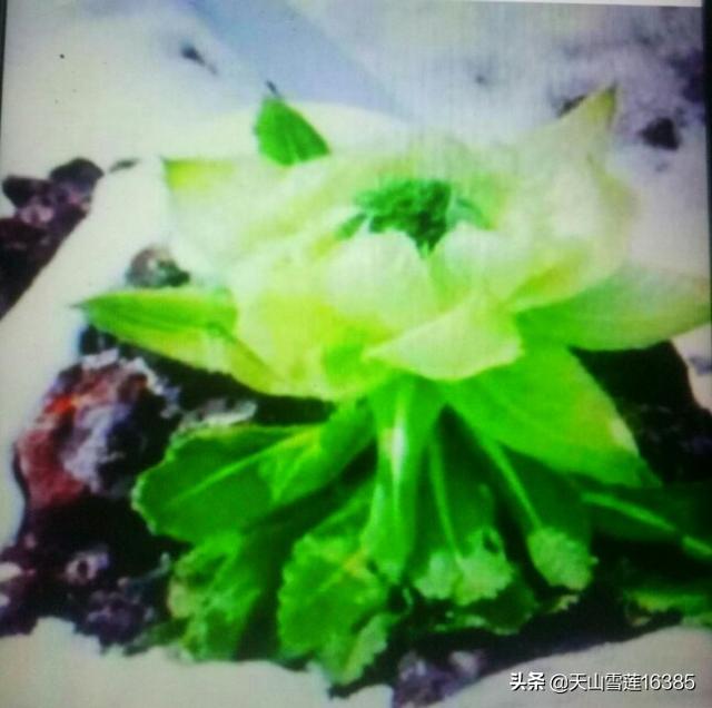 长期不换微信头像的女人好交往吗该怎么应对