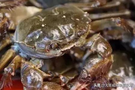 海蟹怎么保存:买的活的海螃蟹，死后马上放在冰箱里保鲜，一天后还可以吃吗？