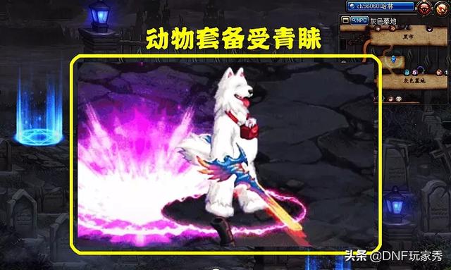 DNF新动物套来袭,女枪不再是“衣架子”,女法太可爱了,如何评价？