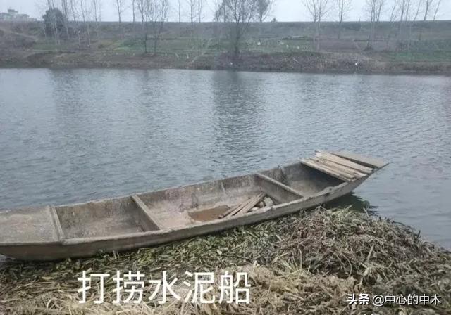 新几内亚歌唱犬灭绝半世纪:那些说自杀不应该救的是一种什么心态，难道自杀真的不应该救吗？