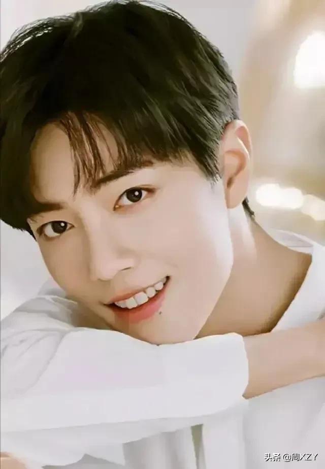 没有追过星的人为什么会追肖战？