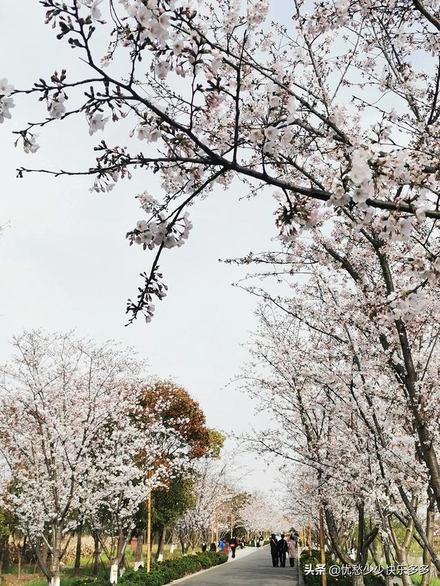 家住别墅是什么样的感觉？插图44