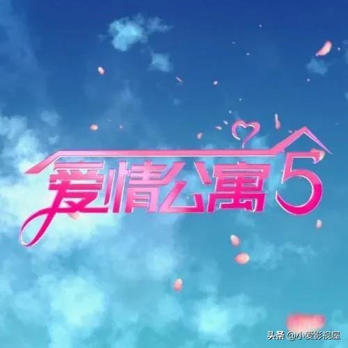 爱情公寓不会再有续集:再也没有续集了，如何看待《爱情公寓5》大结局