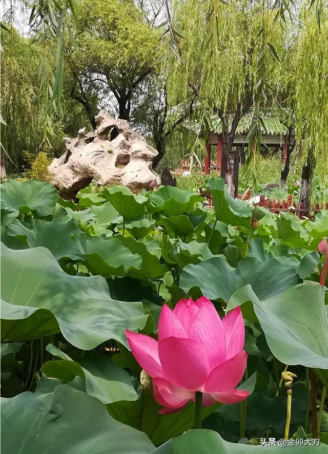 四个字形容夏天,你会用什么？
