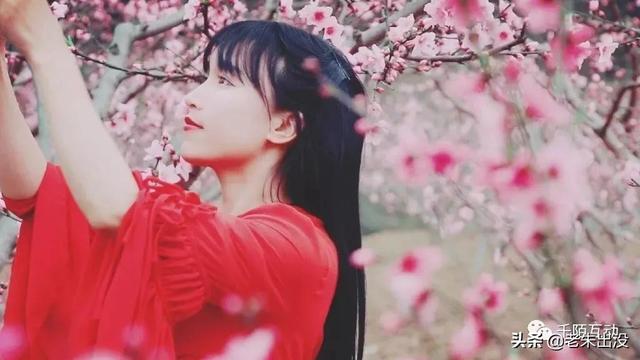 农村女孩成网红,李子柒的成功经验是什么？