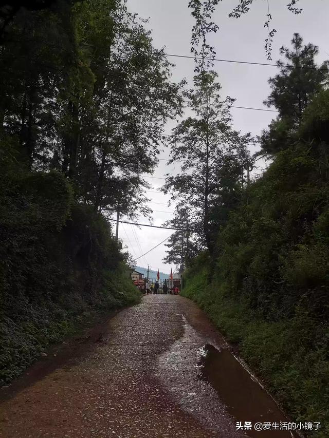 昆明猫吧:昆明周边有哪些比较有特色的农庄，可以带小孩子一起的？