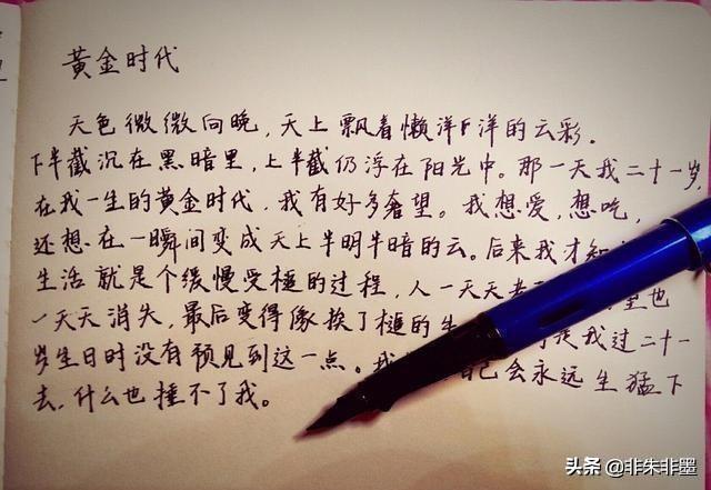 李银河的儿子:才华横溢的王小波深爱的李银河很美吗