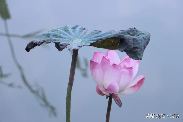 有什么好的兴趣爱好可以推荐,生活单调无趣,想改变？