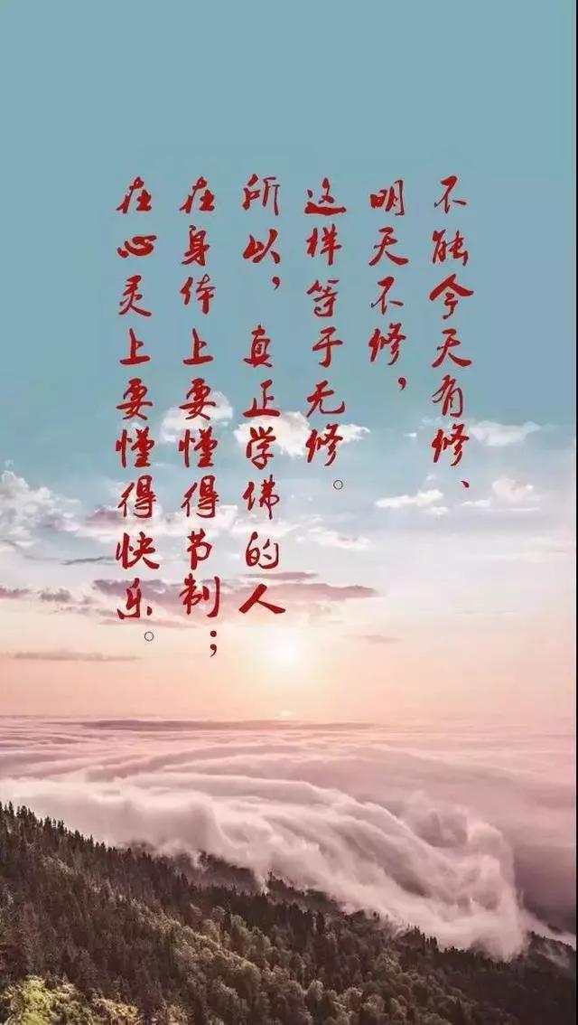 章之怡:继“马云大学”被铲后，章子怡又出事儿了，明星为何屡教不改？