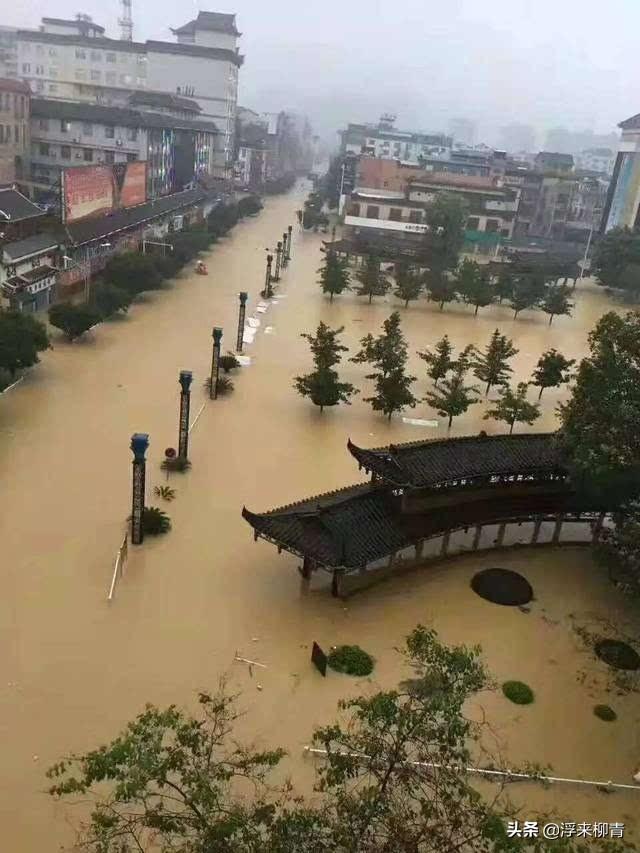 爸爸看到地震预警结尾一句话亮了，哪部电影里的一句台词触动了你，让你思考了很久呢