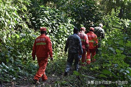 造福鸟招聘:互联网行业在没有技术傍身的情况下应届生能做什么职位？