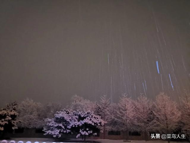 每天只练平板支撑有用吗？普通人平板支撑一次能坚持多久？