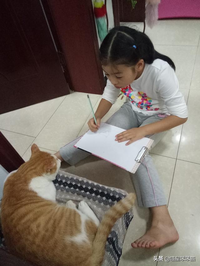 会弹琴的小猫咪图片:小猫咪自己一个人在家久了会孤独吗？