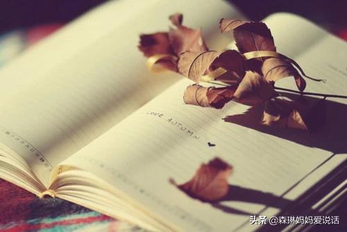 凶兽饲养手册:凶兽饲养手册 总是因为孩子做的不够好凶孩子，凶后又后悔的睡不着，怎么办？